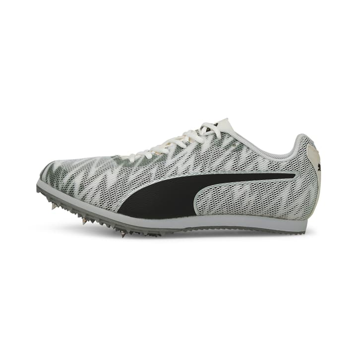Image of Puma evoSpeed Star 7 Nagelschuhe grau bei Migros SportXX