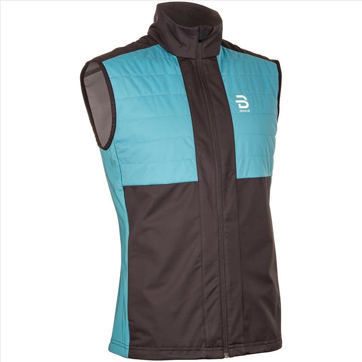 Image of Daehlie M Vest Aware Langlaufweste grau