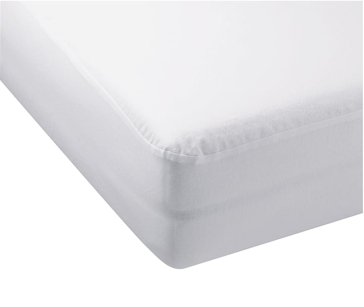 LUCIAN Fixmolton LUCIAN Fixmolton 451015531110 Grösse B: 90.0 cm x H: 200.0 cm Bild Nr. 1
