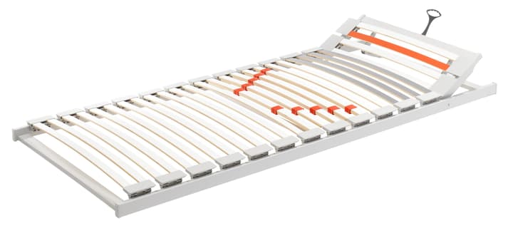 Einlegerahmen FLEX III Standard