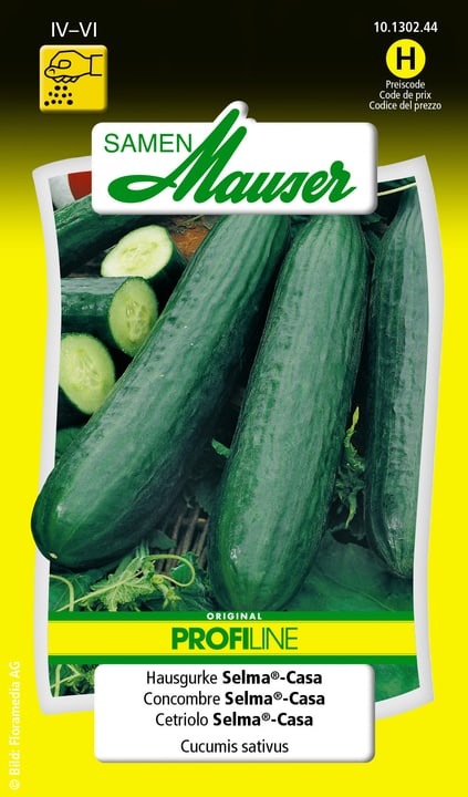 Image of Samen Mauser Hausgurke Selma®-Casa Gemüsesamen bei Do it + Garden von Migros
