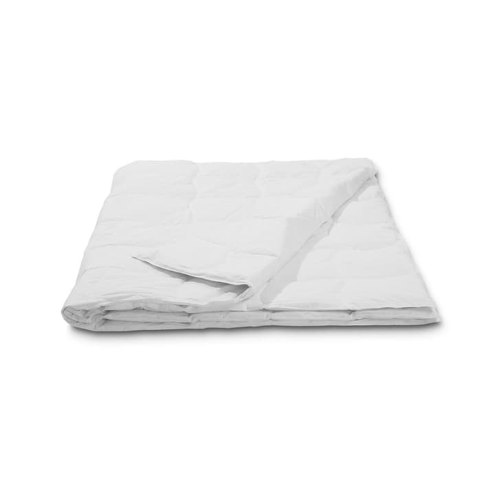 CLASSIC COOL Couette en duvet d’oie en qualité supériore avec protection contre les acariens CLASSIC COOL Couette en duvet d’oie en qualité supériore avec protection contre les acariens 376051200000 Couleur Blanc Dimensions L: 210.0 cm x L: 160.0 cm Photo no. 1