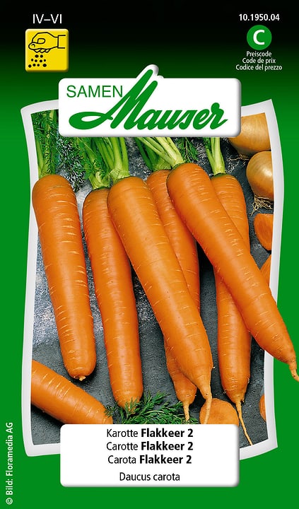 Image of Samen Mauser Karotte Flakkeer 2 Gemüsesamen