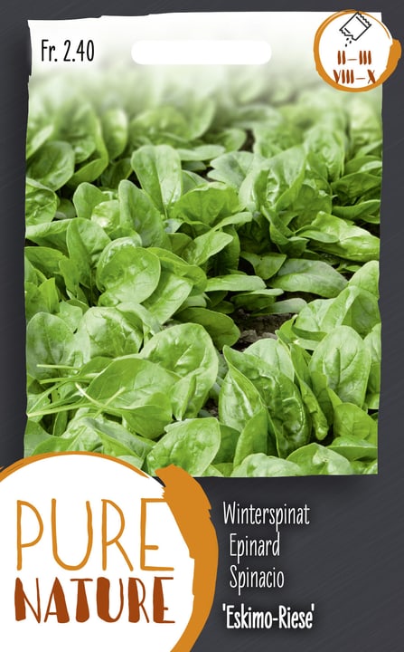 Do it + Garden Winterspinat 'Eskimo-Riese' 20g Gemüsesamen Winterspinat 'Eskimo-Riese' 20g Gemüsesamen Do it + Garden 287113100000 Bild Nr. 1