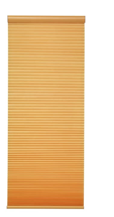 DUO Store plissé DUO Store plissé 430735508050 Couleur Jaune Dimensions L: 80.0 cm x H: 160.0 cm Photo no. 1