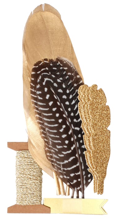 Image of I AM CREATIVE Federset schwarz/gold 22 Stk. bei Do it + Garden von Migros