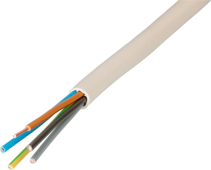 Image of Max Hauri CH-N1VV-U5G1.5 10 m TT Kabel