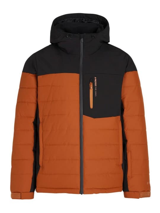 Image of Protest Prtmount Skijacke beige