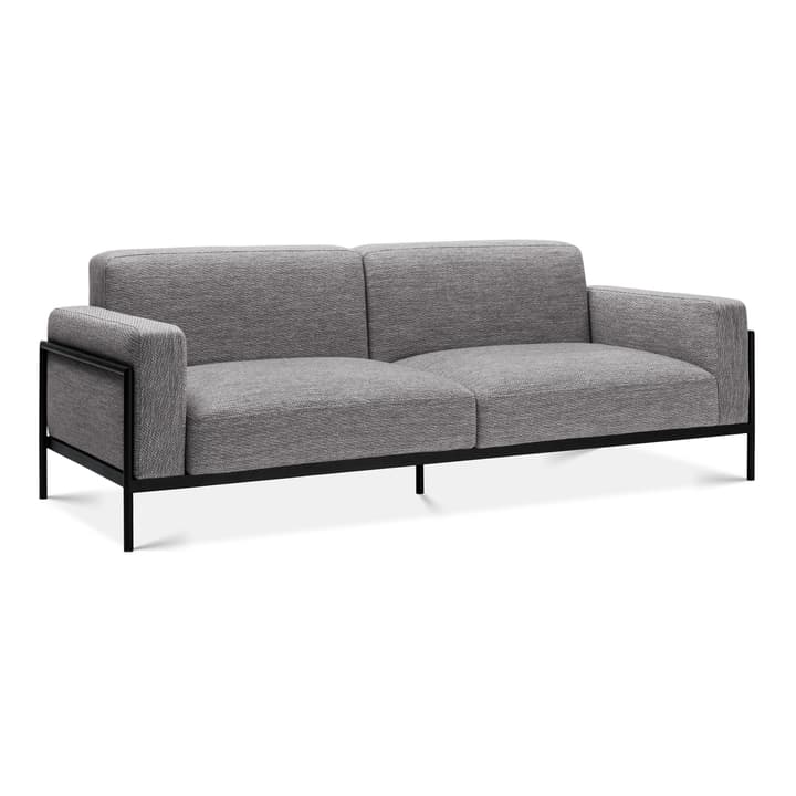 Edition Interio SOMA Divano da 2 posti SOMA Divano da 2 posti Edition Interio 360442320301 Dimensioni L: 226.5 cm x P: 88.5 cm x A: 85.0 cm Colore Color argento N. figura 1