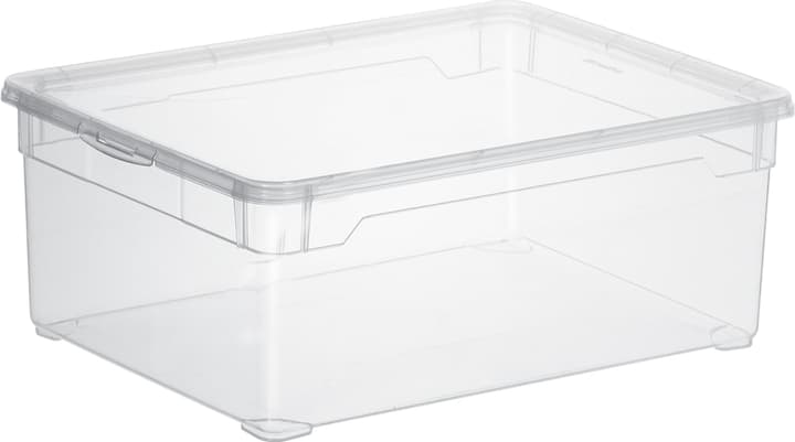 Image of Rotho Clear Box Man Shoe Aufbewahrungsbox