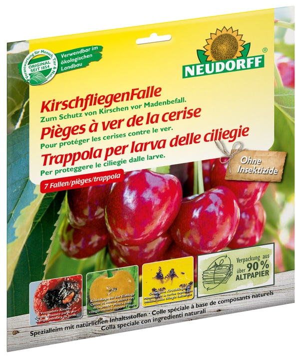 Image of Neudorff KirschfliegenFalle, 5 Fallen Insektenfalle