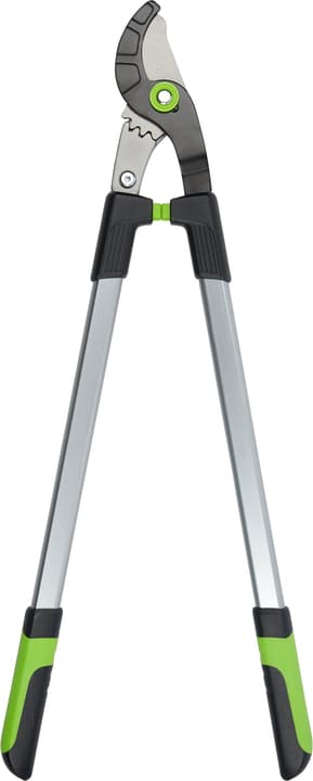 Image of Miogarden Premium Bypass Astschere