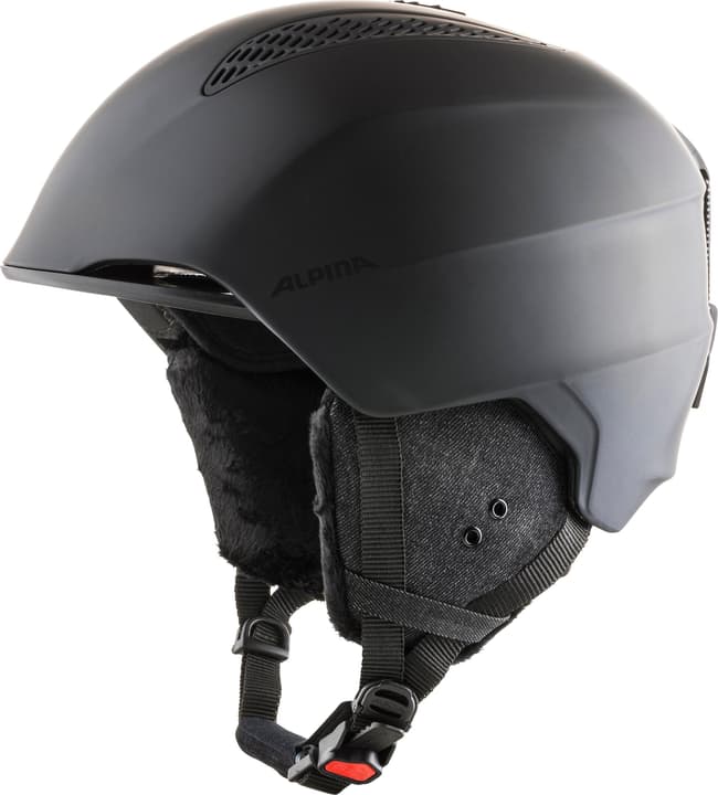 Image of Alpina Grand Wintersport Helm rauch