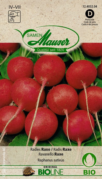 Image of Samen Mauser Radies Raxe Gemüsesamen