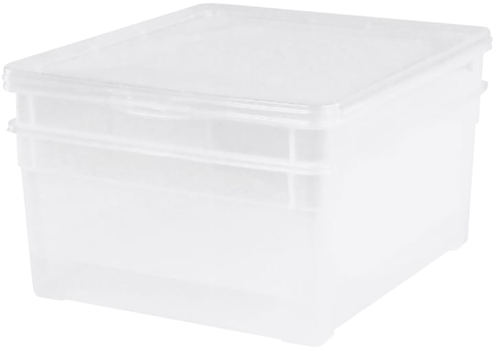 Image of Rotho Clear Lady Shoe 5 l mit Deckel, 4er-Set Aufbewahrungsbox bei Do it + Garden von Migros