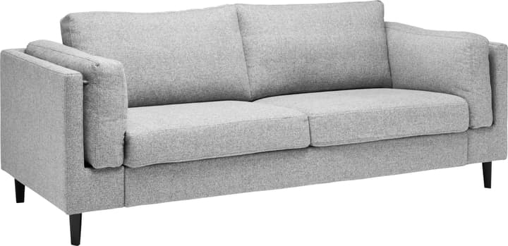 DIENER 2.5er-Sofa DIENER 2.5er-Sofa 405729200000 Farbe Grau Grösse B: 208.0 cm x T: 92.0 cm x H: 82.0 cm Bild Nr. 1