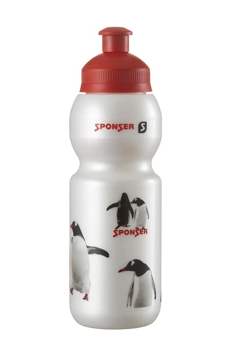 Image of Sponser Pingu Trinkflasche bei Migros SportXX
