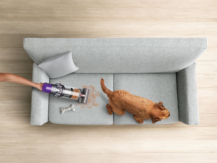 Dyson V10 Absolute Akku-Besenstaubsauger V10 Absolute Akku-Besenstaubsauger Dyson 71717790000018 Bild Nr. 1