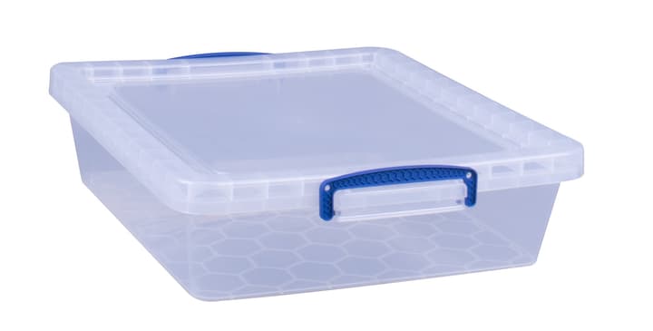 Image of Really Useful Box Kunststoffbox 10.5L Aufbewahrungsbox bei Do it + Garden von Migros