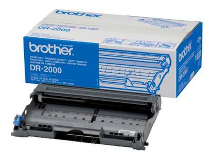 Brother Drum DR-2000 Tambour de toner Drum DR-2000 Tambour de toner Brother 787518800000 Photo no. 1