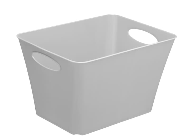 Image of Rotho LIVING Box 5l, Kunststoff (PP) BPA-frei, hellgrau Korb bei Do it + Garden von Migros