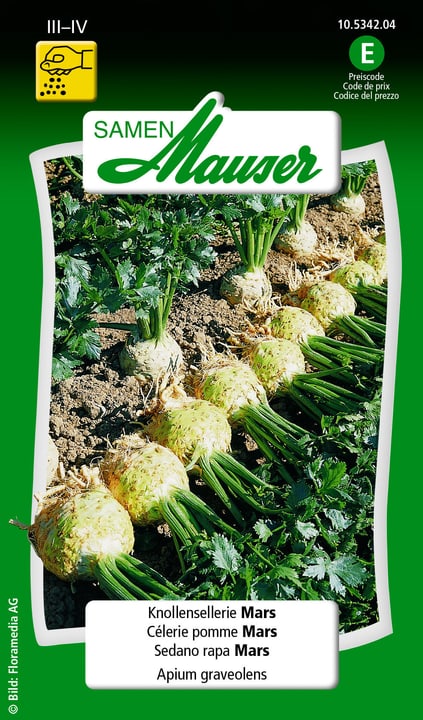 Image of Samen Mauser Knollensellerie Mars Gemüsesamen bei Do it + Garden von Migros