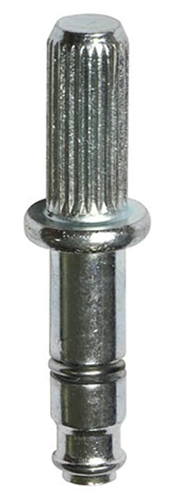 Image of Wagner System Riffelstift 8 mm Achsen & Zubehör bei Do it + Garden von Migros