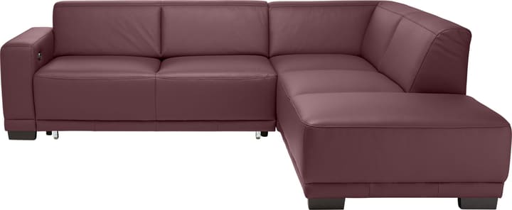 KRÜGER Canapé dangle KRÜGER Canapé dangle 405722000000 Dimensions L: 266.0 cm x P: 220.0 cm x H: 77.0 cm Couleur Bordeaux Photo no. 1