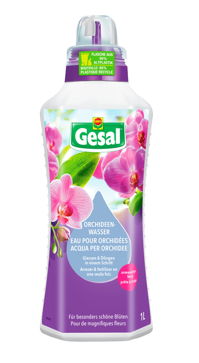Image of Compo Gesal Orchideenwasser, 1 L Flüssigdünger bei Do it + Garden von Migros