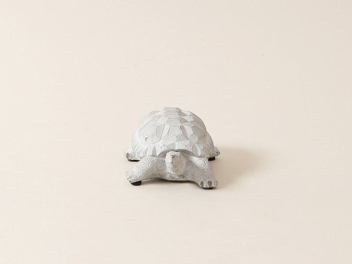 Image of I AM CREATIVE Schildkröte Deko Figur bei Do it + Garden von Migros