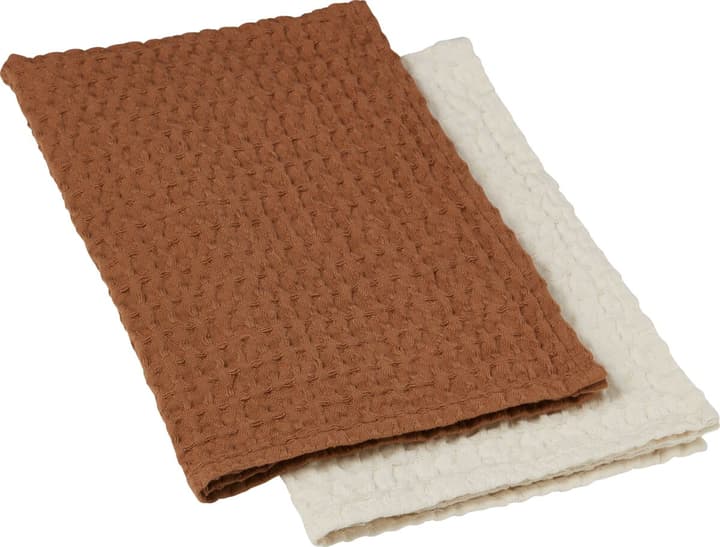 Küchentuch Set BELISARIO