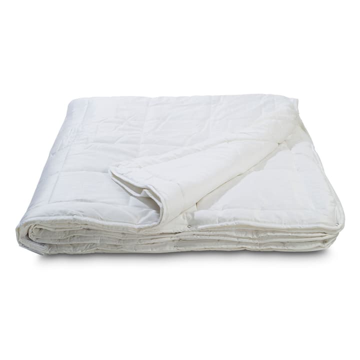 BAMBOO FOUR SEASONS Piumino doppio in fibra naturale BAMBOO FOUR SEASONS Piumino doppio in fibra naturale 376042500000 Colore Bianco Dimensioni L: 210.0 cm x L: 200.0 cm N. figura 1