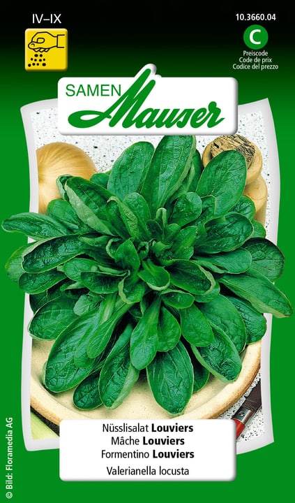 Image of Samen Mauser Nüsslisalat Louviers Gemüsesamen bei Do it + Garden von Migros