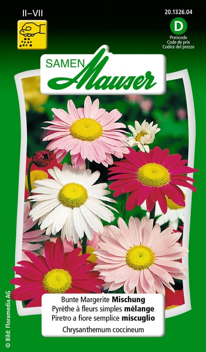 Image of Samen Mauser Bunte Margerite Mischung Blumensamen