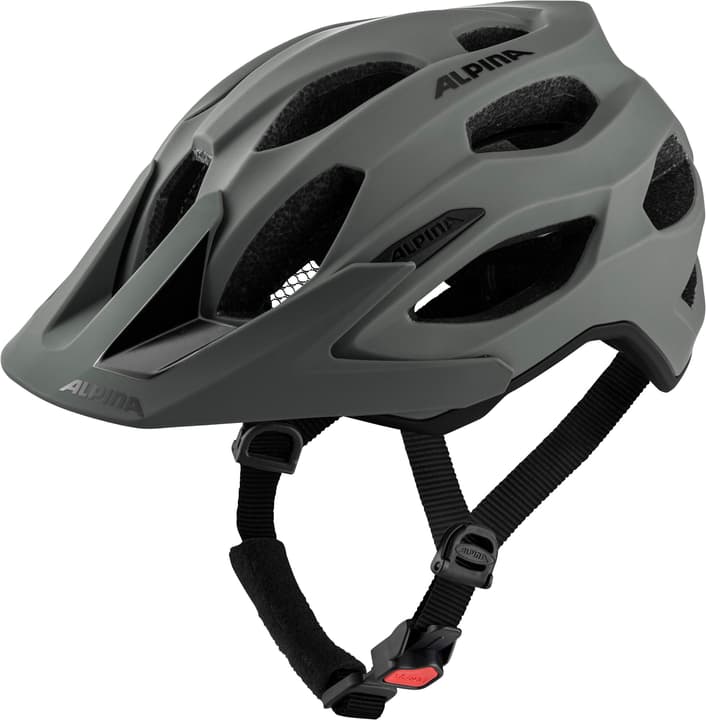 Image of Alpina Carapax 2.0 Velohelm sand