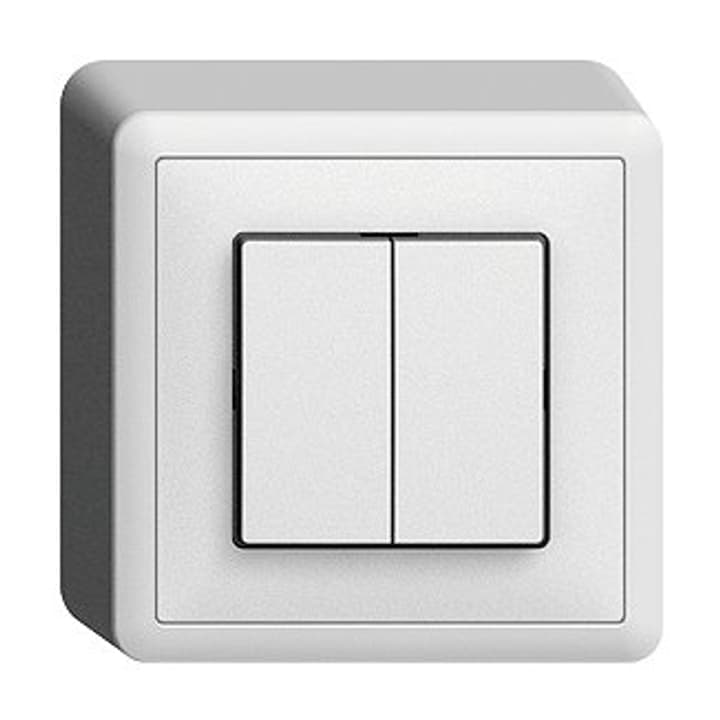 Image of Feller Edizio Due AP S1(3+3) Druckschalter
