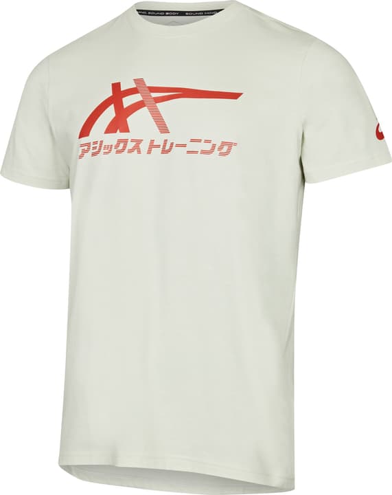 Image of Asics Tiger Tee Laufshirt rauch