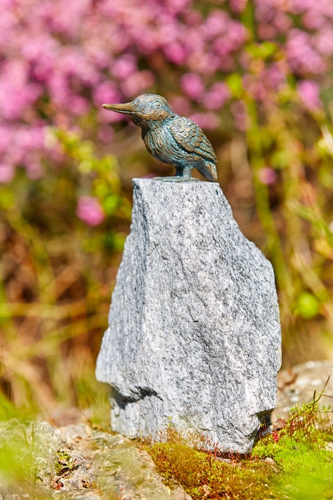 Image of Eisvogel bei Do it + Garden von Migros