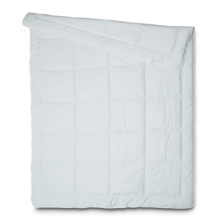 BAMBOO Piumino in fibra naturale BAMBOO Piumino in fibra naturale 376056700000 Dimensioni L: 240.0 cm x L: 160.0 cm Colore Bianco N. figura 1