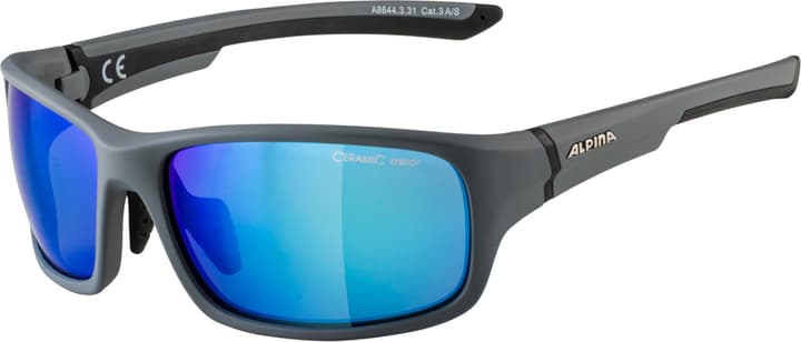 Image of Alpina Lyron S Sportbrille grau