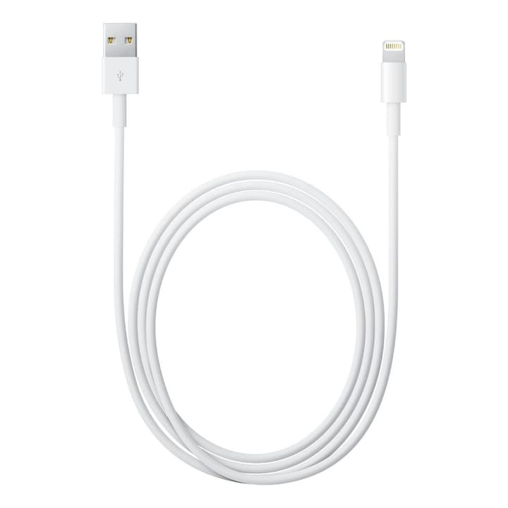 Apple Lightning to USB Cable (2m) Câble Lightning to USB Cable (2m) Câble Apple 773557500000 Photo no. 1
