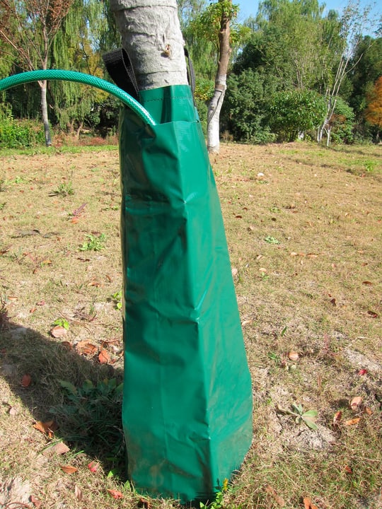 Image of Miogarden Classic Baum-Bewässerungsbeutel Bewässerungssystem bei Do it + Garden von Migros