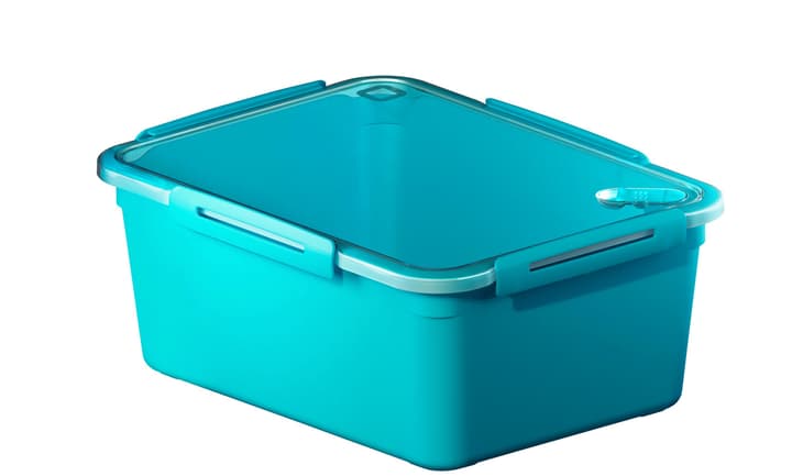 Image of Rotho Mikrowellendose 5 l MEMORY Küche bei Do it + Garden von Migros