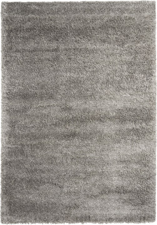 CONGA Tapis CONGA Tapis 412013112001 Couleur argent Dimensions L: 120.0 cm x P: 170.0 cm Photo no. 1