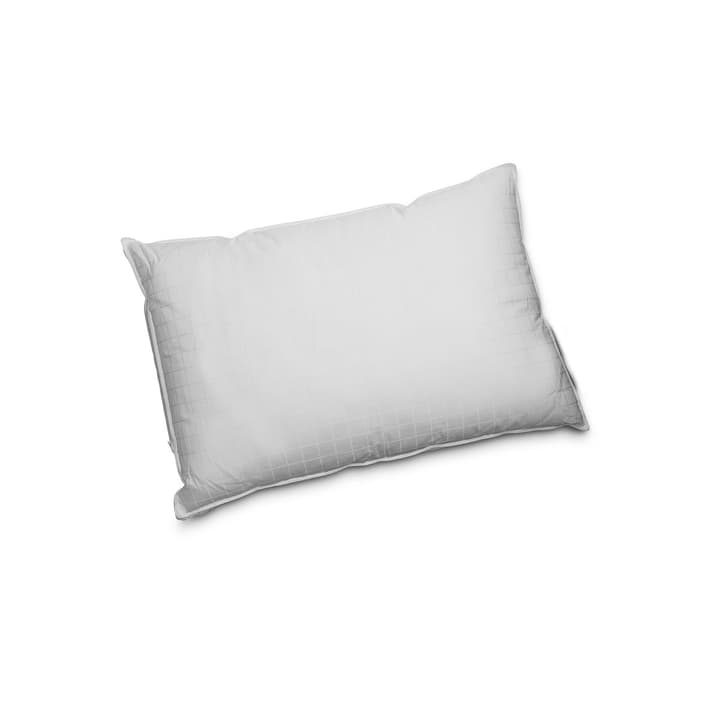 DREAM FIBRE ADJUSTABLE Oreiller synthétique de luxe DREAM FIBRE ADJUSTABLE Oreiller synthétique de luxe 376044100000 Couleur Blanc Dimensions L: 50.0 cm x L: 70.0 cm Photo no. 1