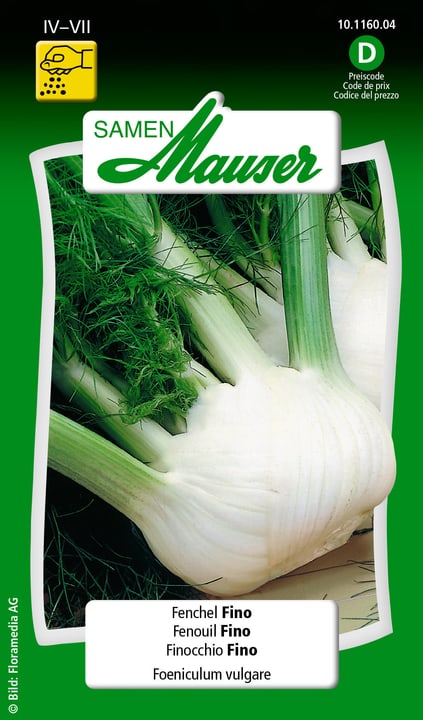Image of Samen Mauser Fenchel Fino Gemüsesamen bei Do it + Garden von Migros