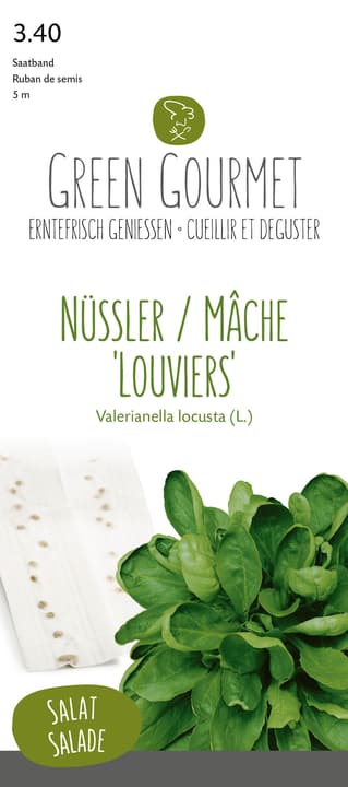 Image of Nüssler 'Louviers', Saatband 5m Gourmetsamen bei Do it + Garden von Migros