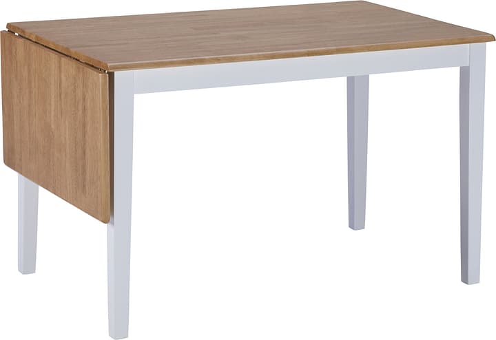 ELBA Tavola ELBA Tavola 402392300000 N. figura 1