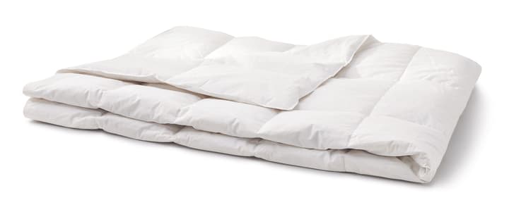 PRIMADAUN MEDIUM Couette PRIMADAUN MEDIUM Couette 451745212710 Couleur Blanc Dimensions L: 240.0 cm x P: 240.0 cm Photo no. 1