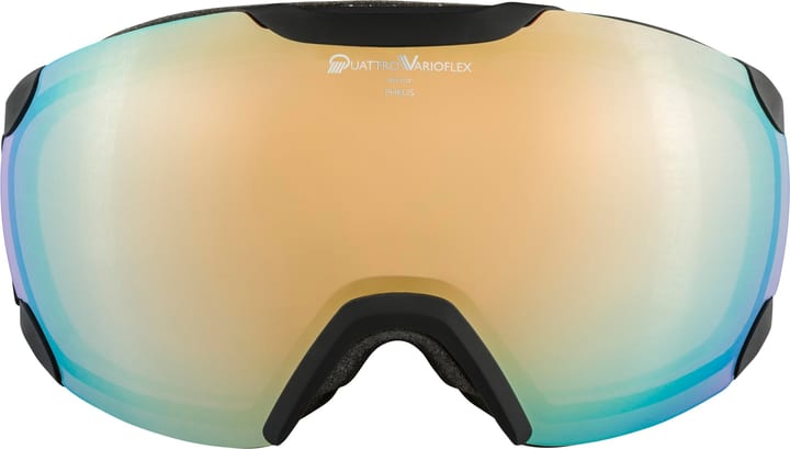 Image of Alpina Pheos QVM Skibrille / Snowboardbrille kohle